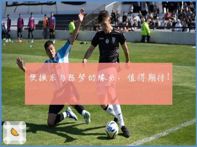 樊振东与陈梦的缘分，值得期待！